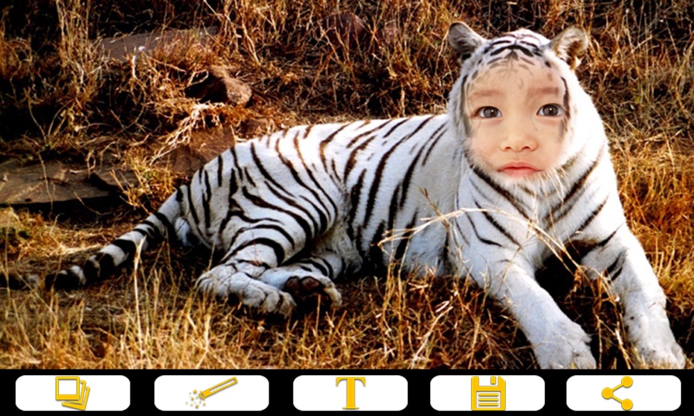 Tiger Photo Frames - Preview 4