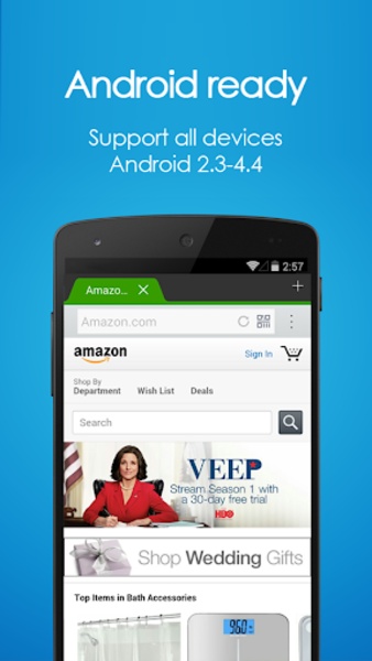 Panda Browser - Preview 7
