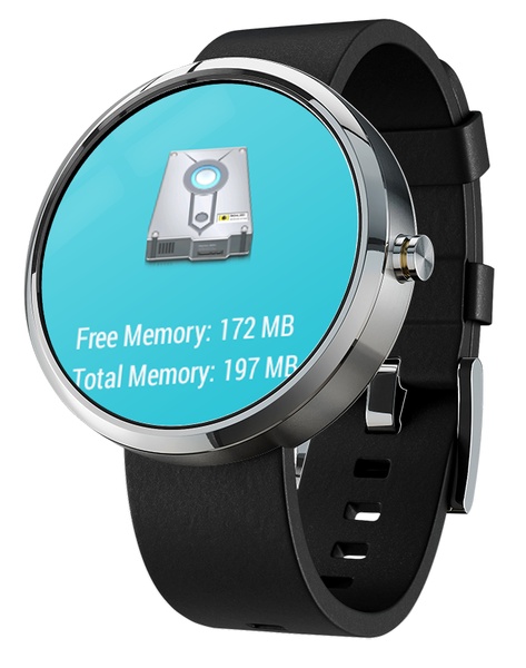 Memory Info for Wear - Preview 1