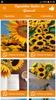 beautiful sunflower Stickers screenshot 1