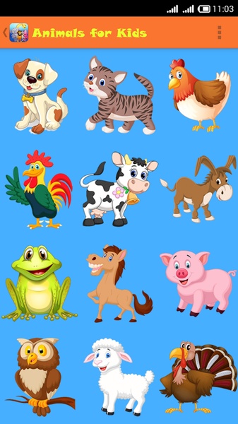 animals pictures for kids