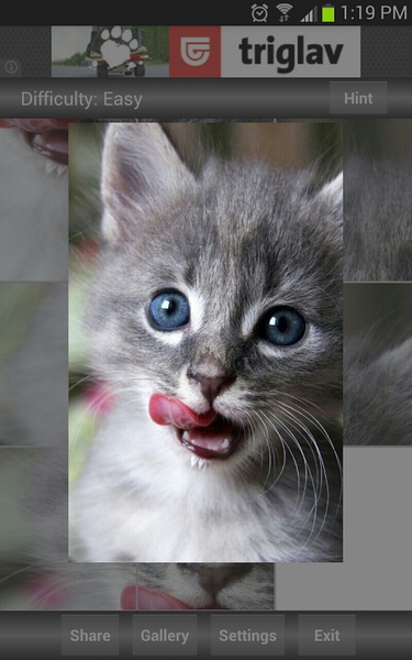 Jigsaw Puzzle: Cute Animals - Preview 4