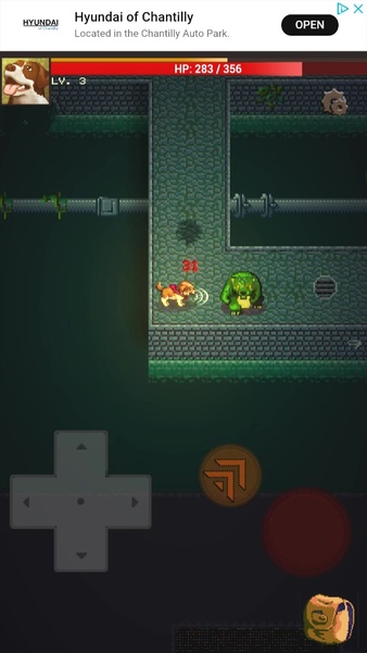 Doggo Dungeon: A Dog