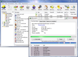 Internet Download Manager screenshot 1