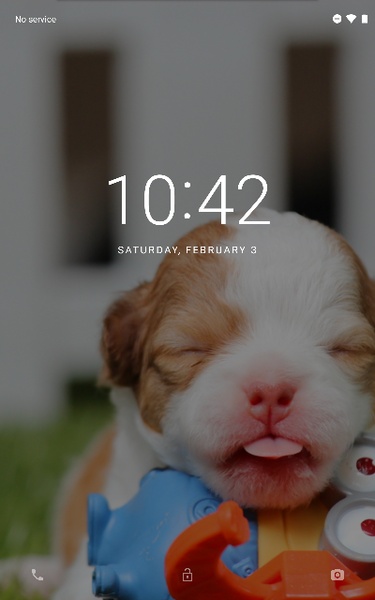Cute Dogs Wallpapers - Preview 16