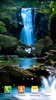 Cachoeira Papel Parede Animado screenshot 12