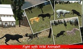 Real Black Panther Wild Attack screenshot 15