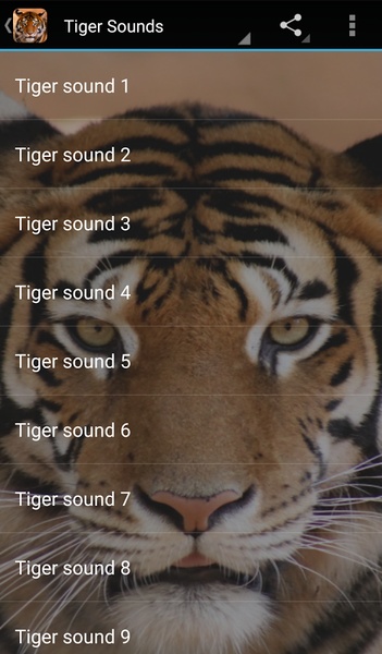 Tiger Sounds - Preview 1