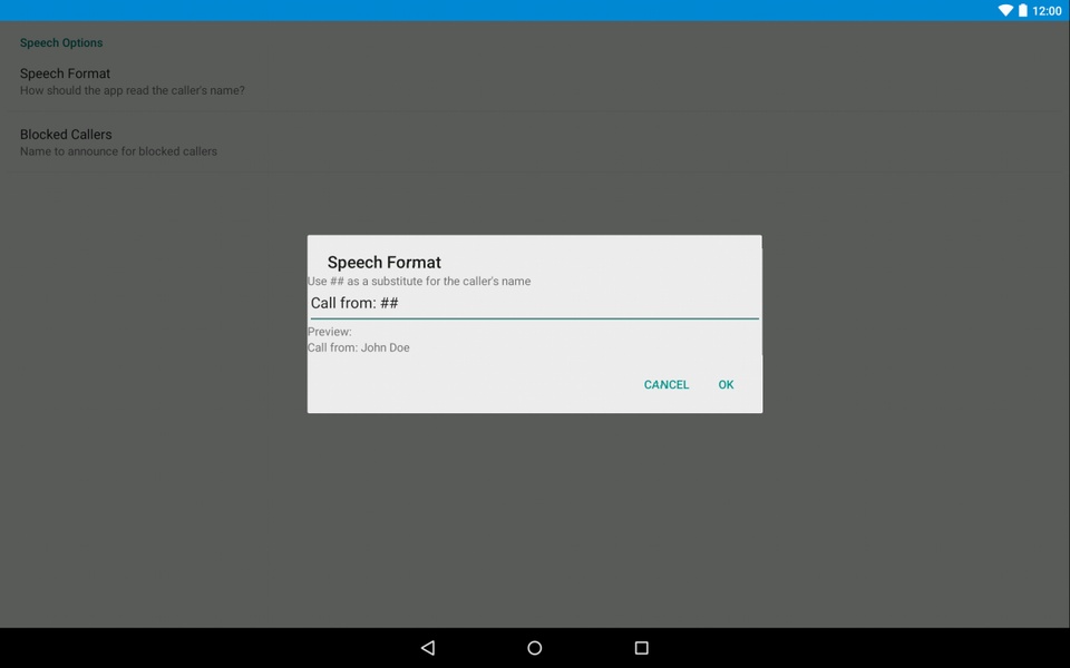Voice Caller ID - Preview 9
