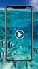 Fish Video Wallpaper screenshot 3