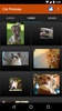 Cat Pictures screenshot 2