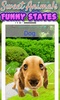 Animals Sounds For Kids screenshot 6