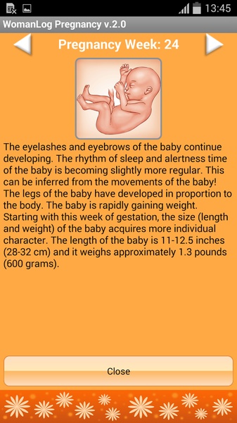 WomanLog Pregnancy Calendar - Preview 5