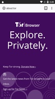 tor browser для компьютера hydra