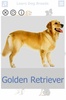 Dog Breeds 🐶 Golden Retriever | Rottweiler screenshot 16