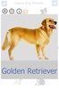 Dog Breeds Golden Retriever | Rottweiler screenshot 17