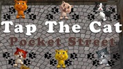 Tap The Cat - Pocket Street screenshot 2