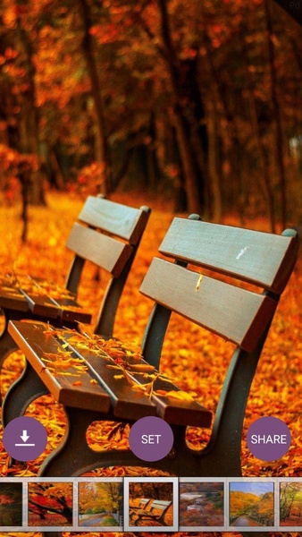 Autumn Wallpaper HD - Preview 1