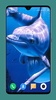 Dolphin Wallpaper HD screenshot 13