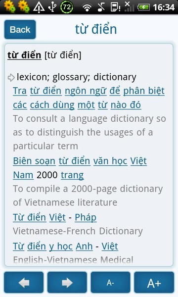 Vietnamese English Dictionary - Preview 3