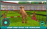 Dog Stunt Show Simulator 3D screenshot 9