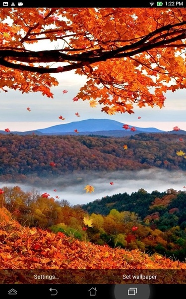 Falling Leaves Live Wallpaper - Preview 7