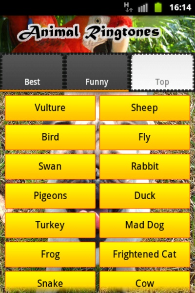 Animal Ringtones - Preview 3