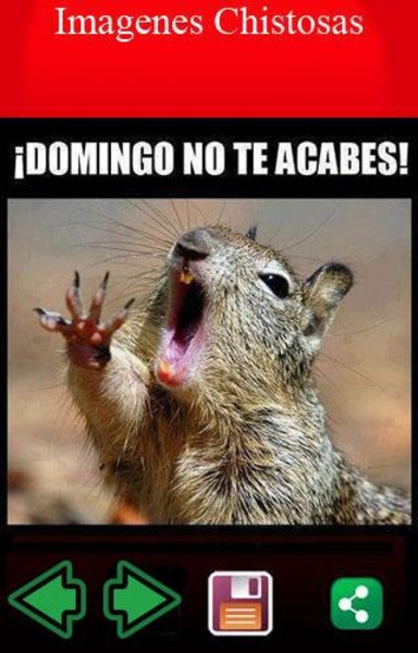 Imagenes Chistosas - Preview 3