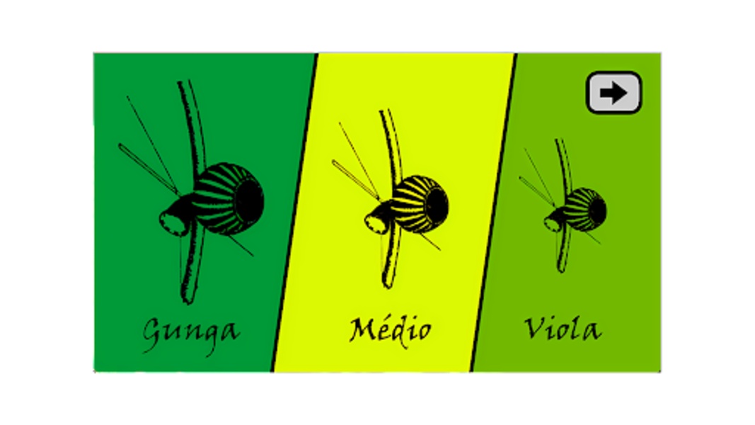 Capoeira Instruments - Preview 3