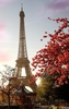 Sunny Paris Live Wallpaper screenshot 7