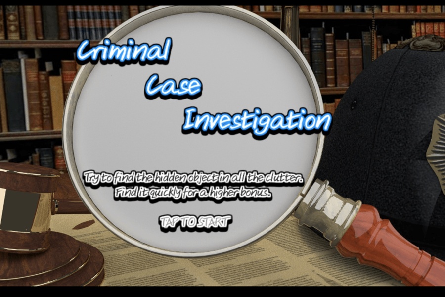 Criminal Case Investigation - Preview 12