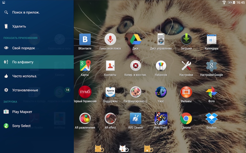 Kitty Theme - Preview 1
