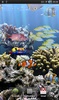 The real aquarium - LWP screenshot 13