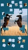 Horses Jigsaw Puzzle Game screenshot 10