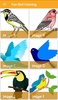 Fun Bird Coloring screenshot 2