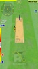 Cricket World Domination screenshot 8