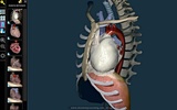 3D Anatomy Learning screenshot 4