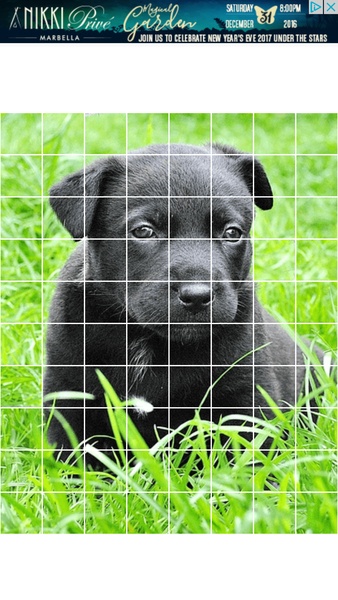 Puzzle Animals - Preview 4