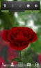 3D Rose Live Wallpaper Free screenshot 3