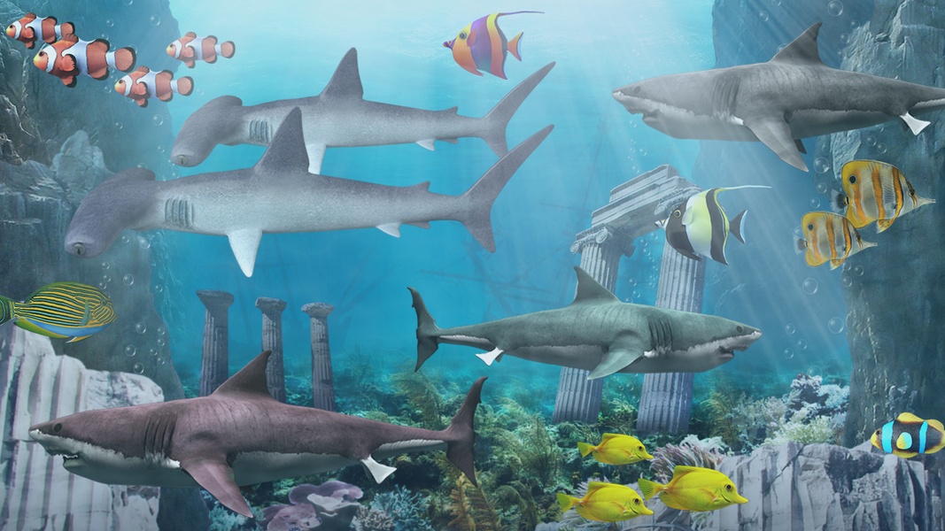 Shark aquarium - Preview 2