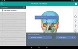 Mémofiches Anatomie Netter screenshot 3