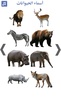 تعليم أسماء الحيوانات screenshot 1