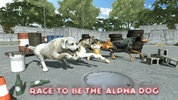 Dog Racing : Dog Games screenshot 4