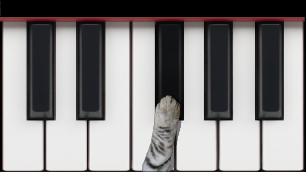 Cat Piano - Preview 3