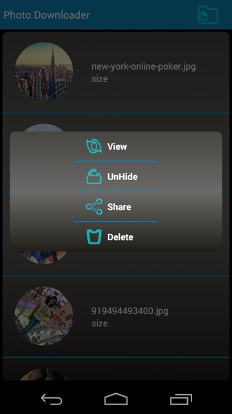 Photo Downloader - Preview 1