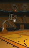 Three Point Shootout Free screenshot 16