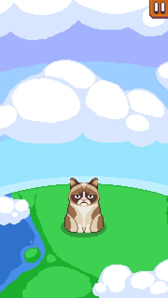 Grumpy Cat