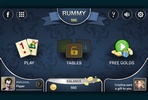 Rummy - Offline Board Game screenshot 4