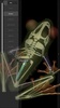 3D Frog Skeleton screenshot 15
