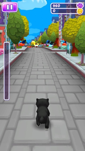 Cat Run Simulator - Preview 6